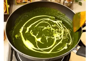 Palak Paneer Recipe