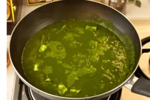 Palak Paneer Recipe