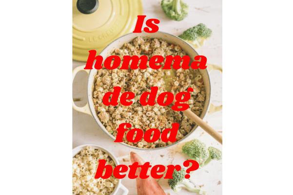 dog food recipes homemade