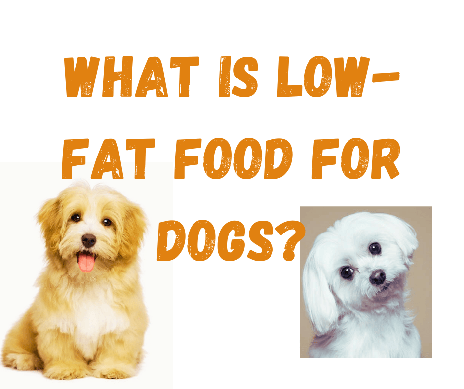 low fat dog food
