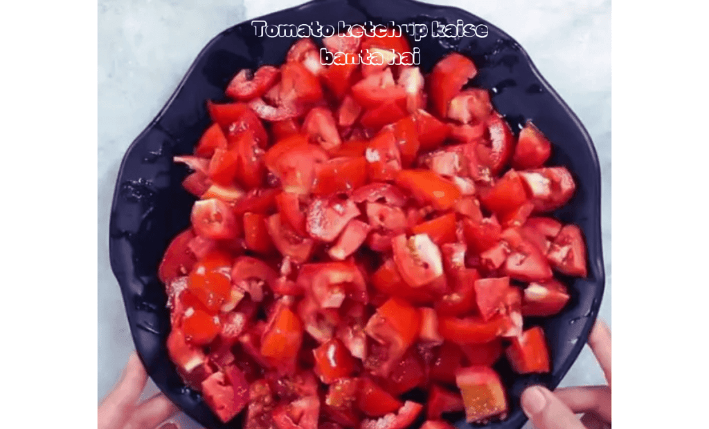 Tomato ketchup kaise banta hai