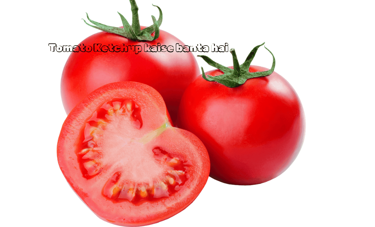 Tomato ketchup kaise banta hai